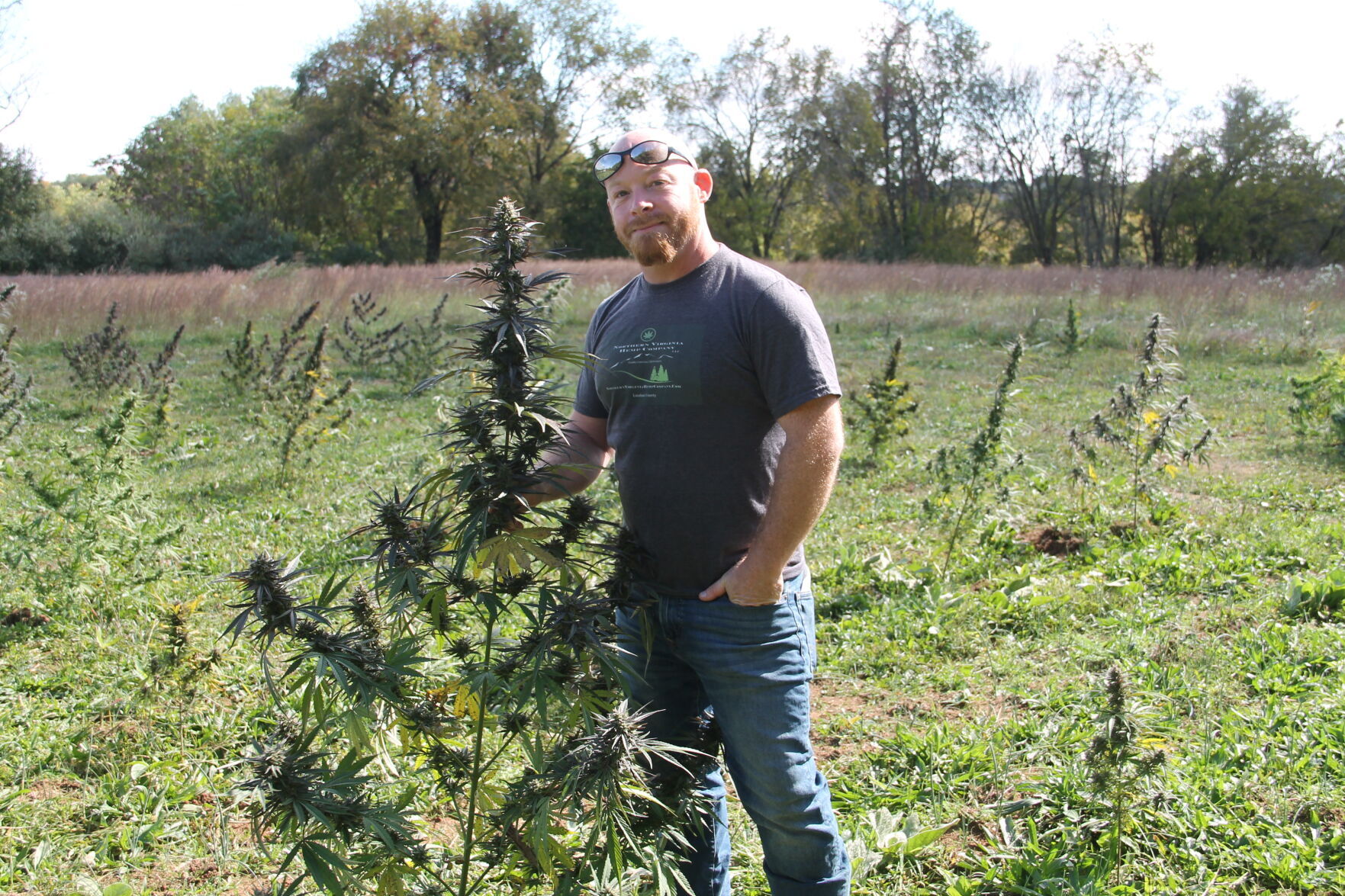 Luke Greer, Purcellville Hemp Farm